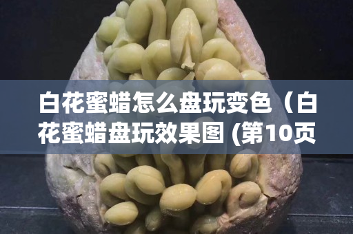白花蜜蠟怎么盤玩變色（白花蜜蠟盤玩效果圖 (第10頁)）