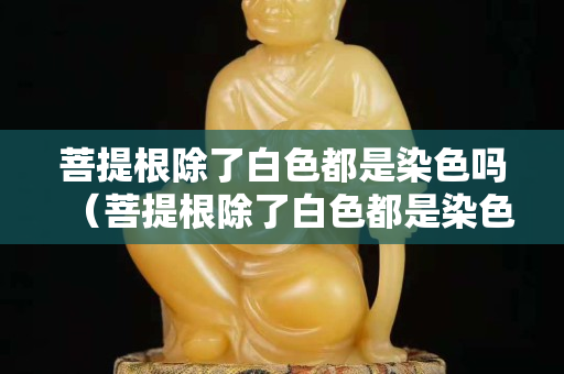 菩提根除了白色都是染色嗎（菩提根除了白色都是染色嗎圖片）