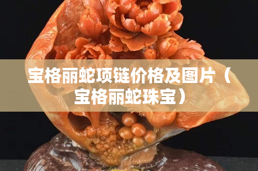 寶格麗蛇項鏈價格及圖片（寶格麗蛇珠寶）