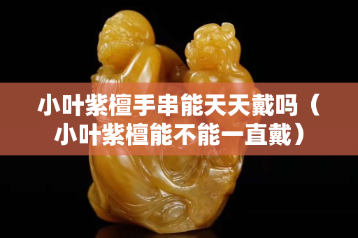 小葉紫檀手串能天天戴嗎（小葉紫檀能不能一直戴）