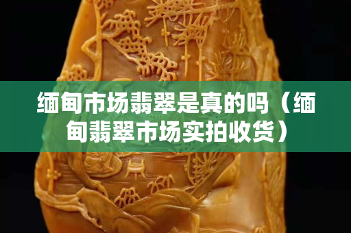緬甸市場翡翠是真的嗎（緬甸翡翠市場實拍收貨）