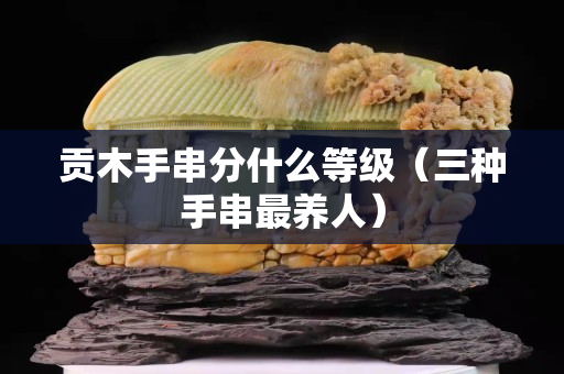 貢木手串分什么等級（三種手串最養人）