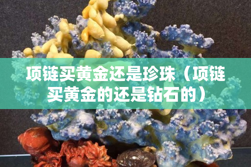 項鏈買黃金還是珍珠（項鏈買黃金的還是鉆石的）