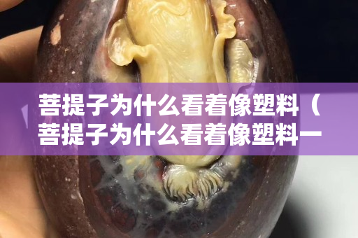 菩提子為什么看著像塑料（菩提子為什么看著像塑料一樣）