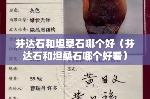 芬達石和坦桑石哪個好（芬達石和坦桑石哪個好看）