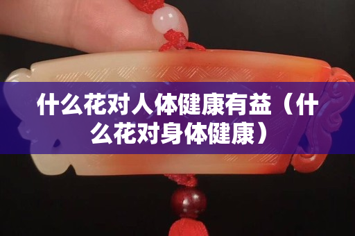 什么花對人體健康有益（什么花對身體健康）