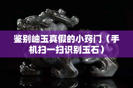 鑒別岫玉真假的小竅門(mén)（手機(jī)掃一掃識(shí)別玉石）