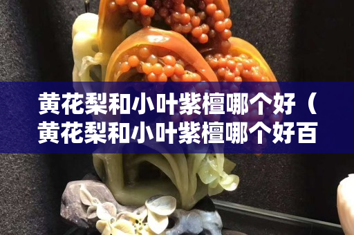 黃花梨和小葉紫檀哪個好（黃花梨和小葉紫檀哪個好百度）