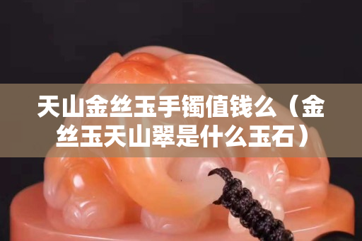 天山金絲玉手鐲值錢么（金絲玉天山翠是什么玉石）