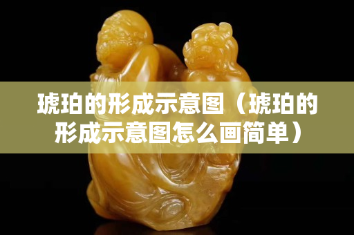 琥珀的形成示意圖（琥珀的形成示意圖怎么畫簡單）