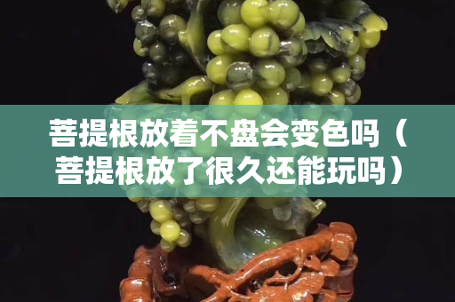 菩提根放著不盤會變色嗎（菩提根放了很久還能玩嗎）