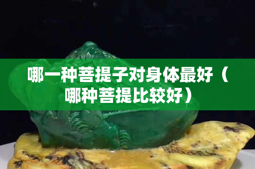哪一種菩提子對身體最好（哪種菩提比較好）