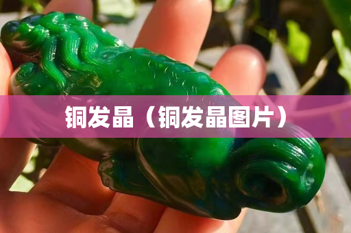 銅發(fā)晶（銅發(fā)晶圖片）
