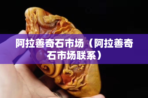阿拉善奇石市場（阿拉善奇石市場聯系）