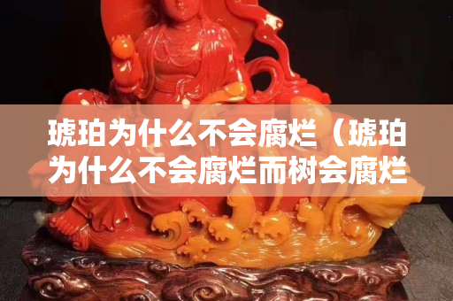 琥珀為什么不會腐爛（琥珀為什么不會腐爛而樹會腐爛）