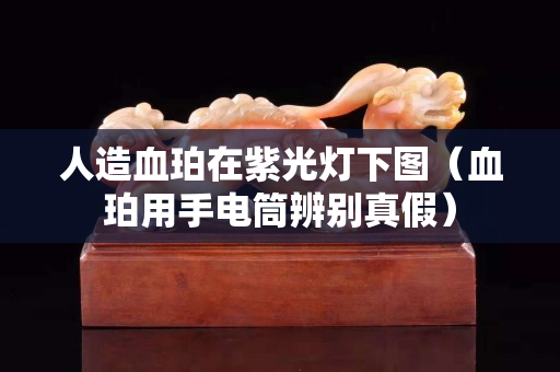 人造血珀在紫光燈下圖（血珀用手電筒辨別真假）