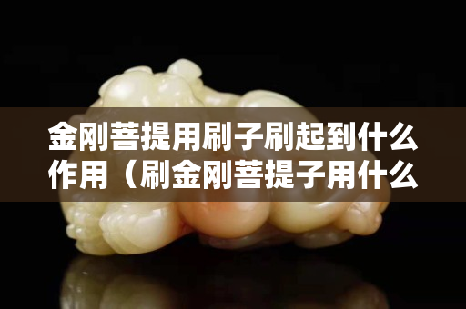 金剛菩提用刷子刷起到什么作用（刷金剛菩提子用什么刷子好）