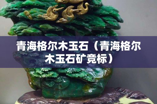 青海格爾木玉石（青海格爾木玉石礦競標）
