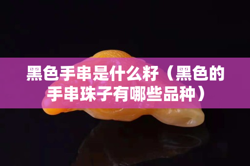 黑色手串是什么籽（黑色的手串珠子有哪些品種）