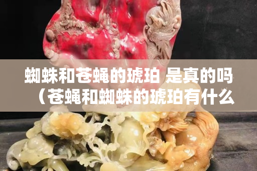 蜘蛛和蒼蠅的琥珀 是真的嗎（蒼蠅和蜘蛛的琥珀有什么科學(xué)價(jià)值）