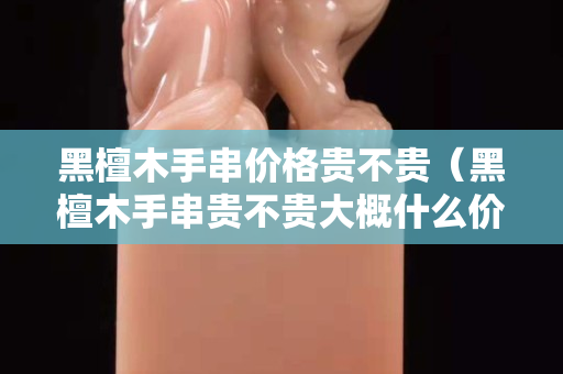 黑檀木手串價(jià)格貴不貴（黑檀木手串貴不貴大概什么價(jià)位）