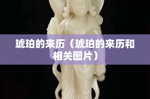琥珀的來歷（琥珀的來歷和相關圖片）