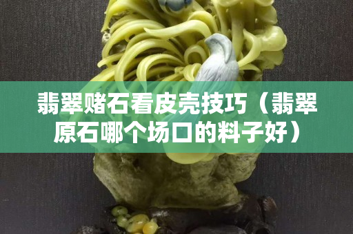 翡翠賭石看皮殼技巧（翡翠原石哪個(gè)場(chǎng)口的料子好）