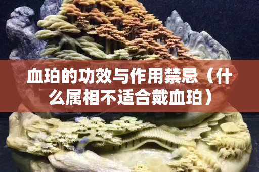 血珀的功效與作用禁忌（什么屬相不適合戴血珀）