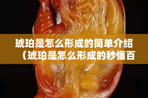 琥珀是怎么形成的簡單介紹（琥珀是怎么形成的秒懂百科）