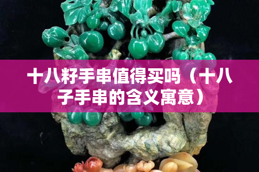 十八籽手串值得買嗎（十八子手串的含義寓意）