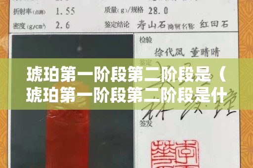 琥珀第一階段第二階段是（琥珀第一階段第二階段是什么）