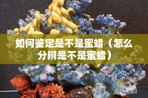 如何鑒定是不是蜜蠟（怎么分辨是不是蜜蠟）