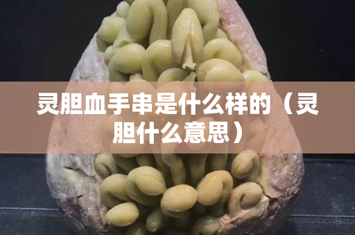 靈膽血手串是什么樣的（靈膽什么意思）