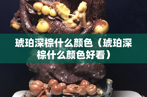 琥珀深棕什么顏色（琥珀深棕什么顏色好看）