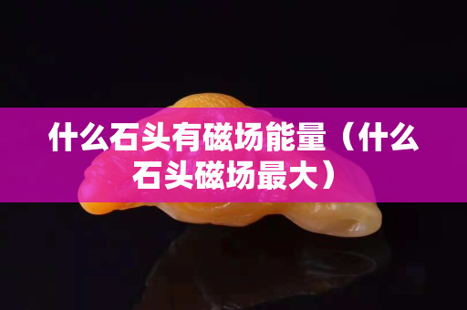 什么石頭有磁場能量（什么石頭磁場最大）