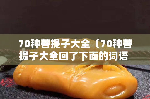 70種菩提子大全（70種菩提子大全回了下面的詞語 用動作描寫他）