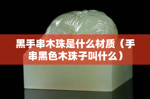 黑手串木珠是什么材質（手串黑色木珠子叫什么）