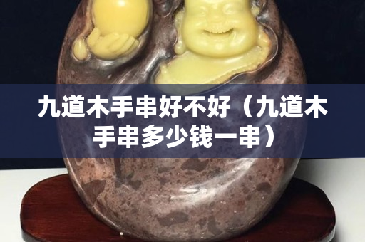 九道木手串好不好（九道木手串多少錢一串）
