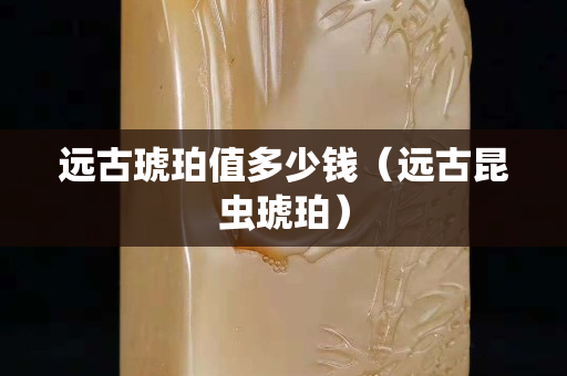 遠古琥珀值多少錢（遠古昆蟲琥珀）