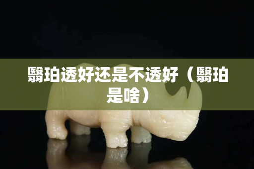 翳珀透好還是不透好（翳珀是啥）