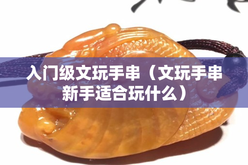 入門(mén)級(jí)文玩手串（文玩手串新手適合玩什么）