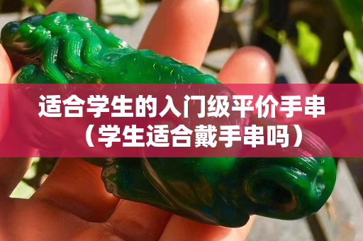 適合學生的入門級平價手串（學生適合戴手串嗎）