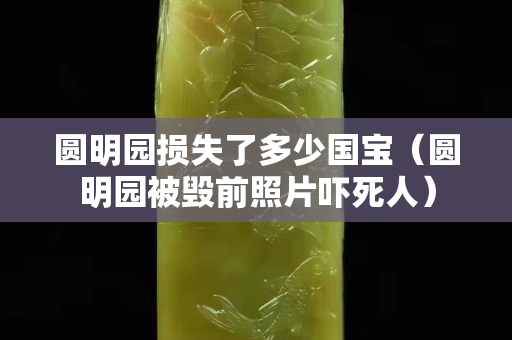 圓明園損失了多少國寶（圓明園被毀前照片嚇死人）
