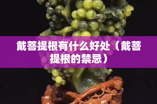 戴菩提根有什么好處（戴菩提根的禁忌）
