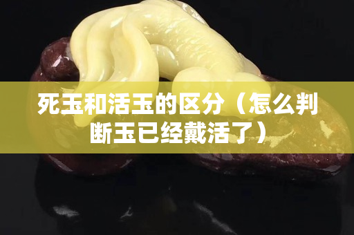 死玉和活玉的區分（怎么判斷玉已經戴活了）