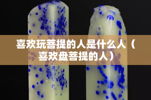 喜歡玩菩提的人是什么人（喜歡盤菩提的人）