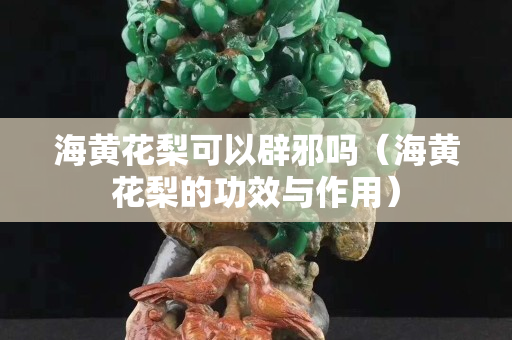 海黃花梨可以辟邪嗎（海黃花梨的功效與作用）