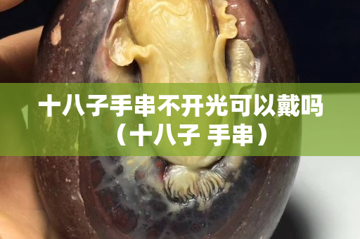 十八子手串不開光可以戴嗎（十八子 手串）