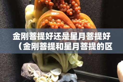 金剛菩提好還是星月菩提好（金剛菩提和星月菩提的區(qū)別圖片）