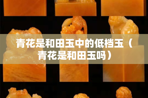 青花是和田玉中的低檔玉（青花是和田玉嗎）